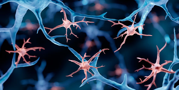 뇌전증연구소 관련 사진