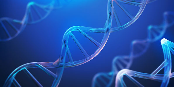 융복합유전체연구소 관련 사진