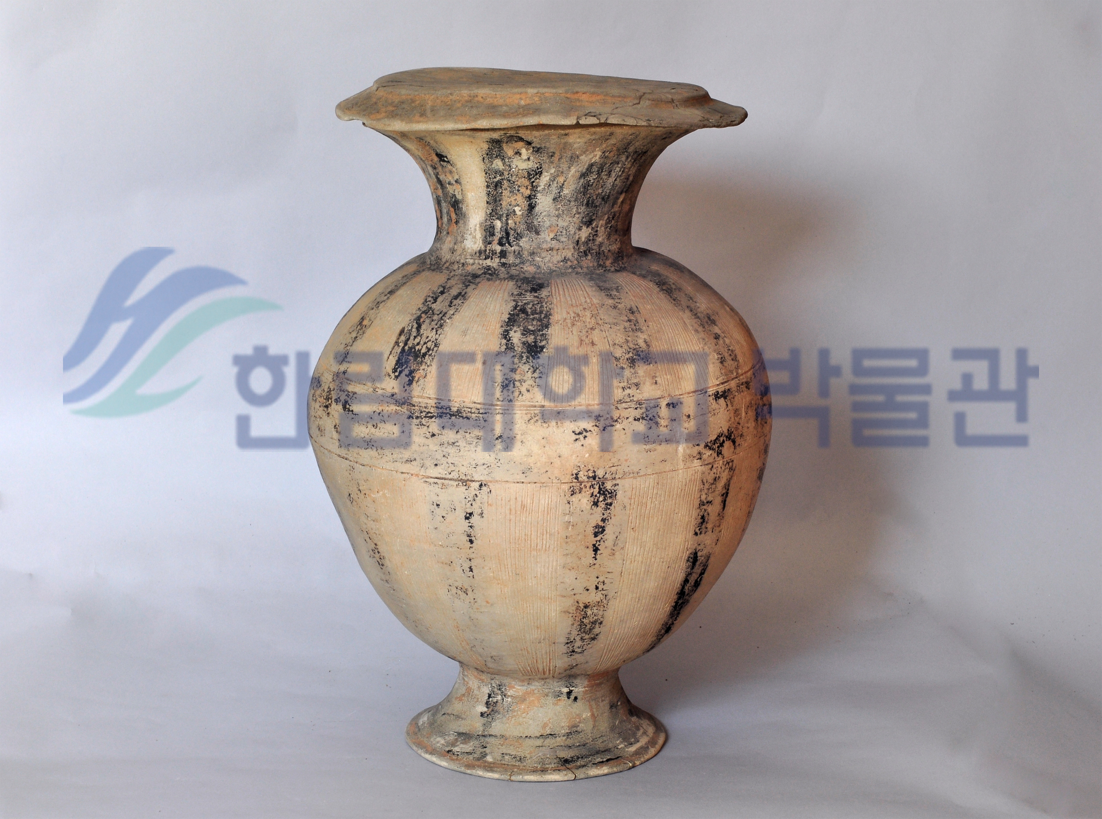 긴목.jpg 이미지